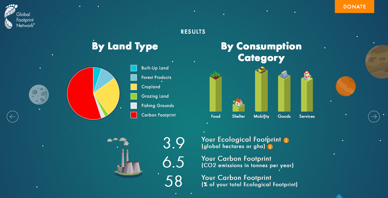 Screen Shot 2018-11-20 at 1.43.07 PM